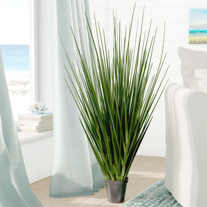 Beachcrest Home Artificial Foliage Grass in Pot & Reviews Wayfair.ca